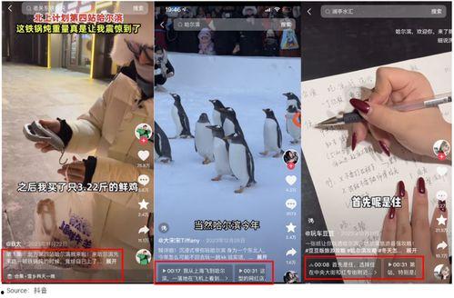 抖音网红大鹅 携程改价门撕开ota最狠潜规则,携程改价门事件与大鹅网红的撕逼真相