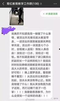 社会热点话题事件,XX事件背后的深思与启示
