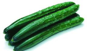 黄瓜c