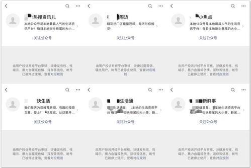 51今日吃瓜热门大瓜视频 社会热点话题事件素材,揭秘社会热点事件，追踪热门大瓜视频